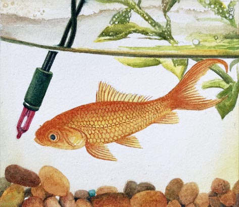 Realistic watercolor painting