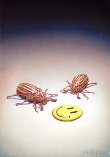 Click this image to see the next one