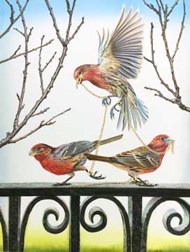Finches, 2017, watercolor