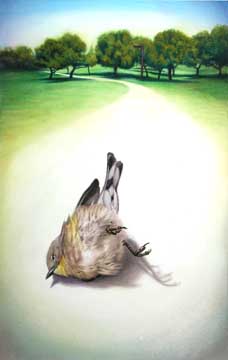 Stunned, 2005, watercolor