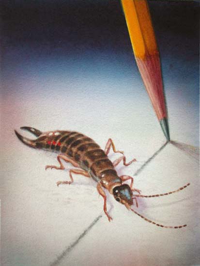 Realistic watercolor painting