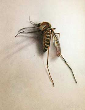 Sleeping, 2005, watercolor