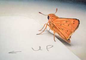 Up, 2008, watercolor
